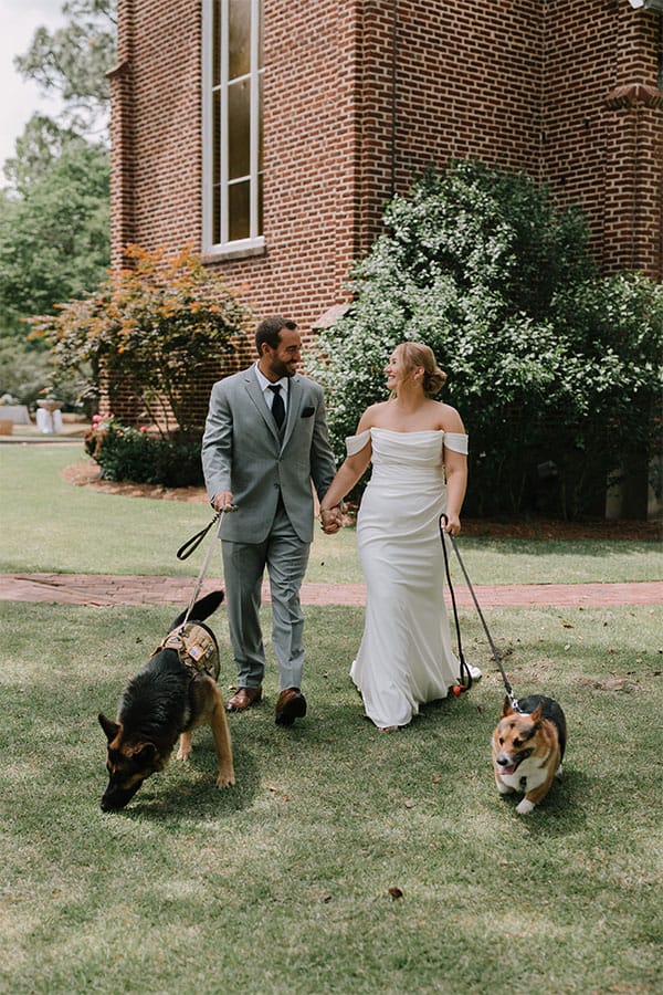 The bride and groom walking dogs.