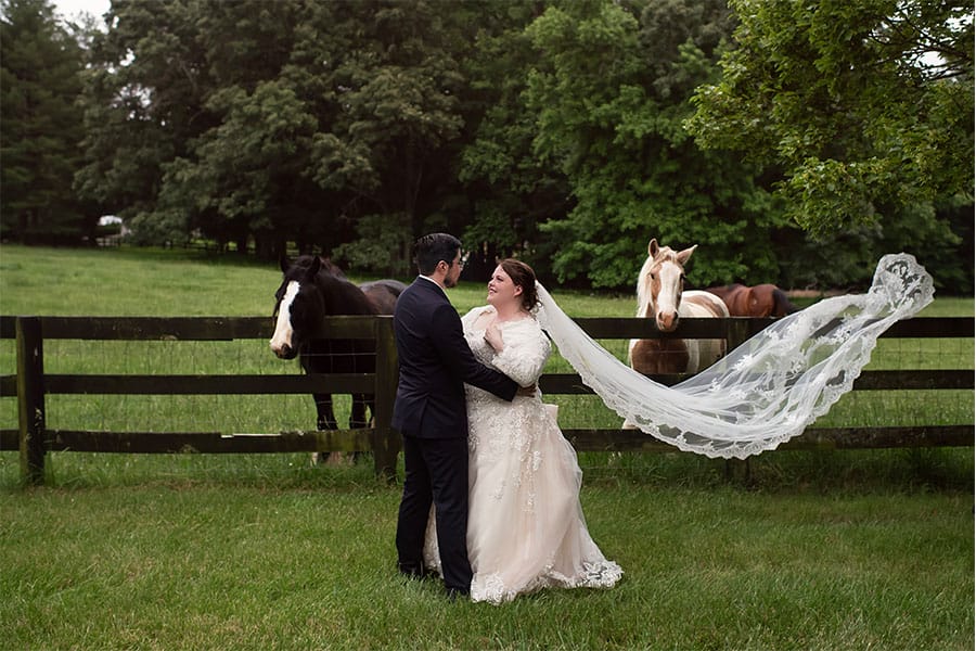 The bride and groom with horses in the back. 